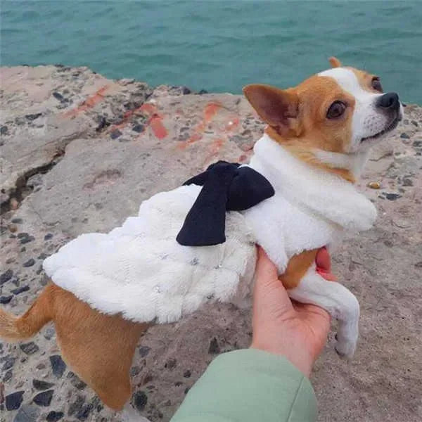 Pet Clothes Elegant Luxury Fur Winter Overcoat Small Dog Cat Clothes Bowknot Chihuahua Puppy Pet Dog Accessories