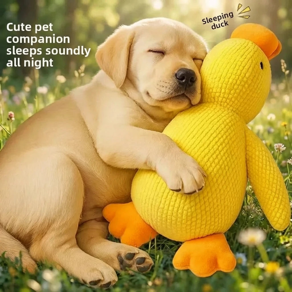 Plushy- Duck Squeaky Toy