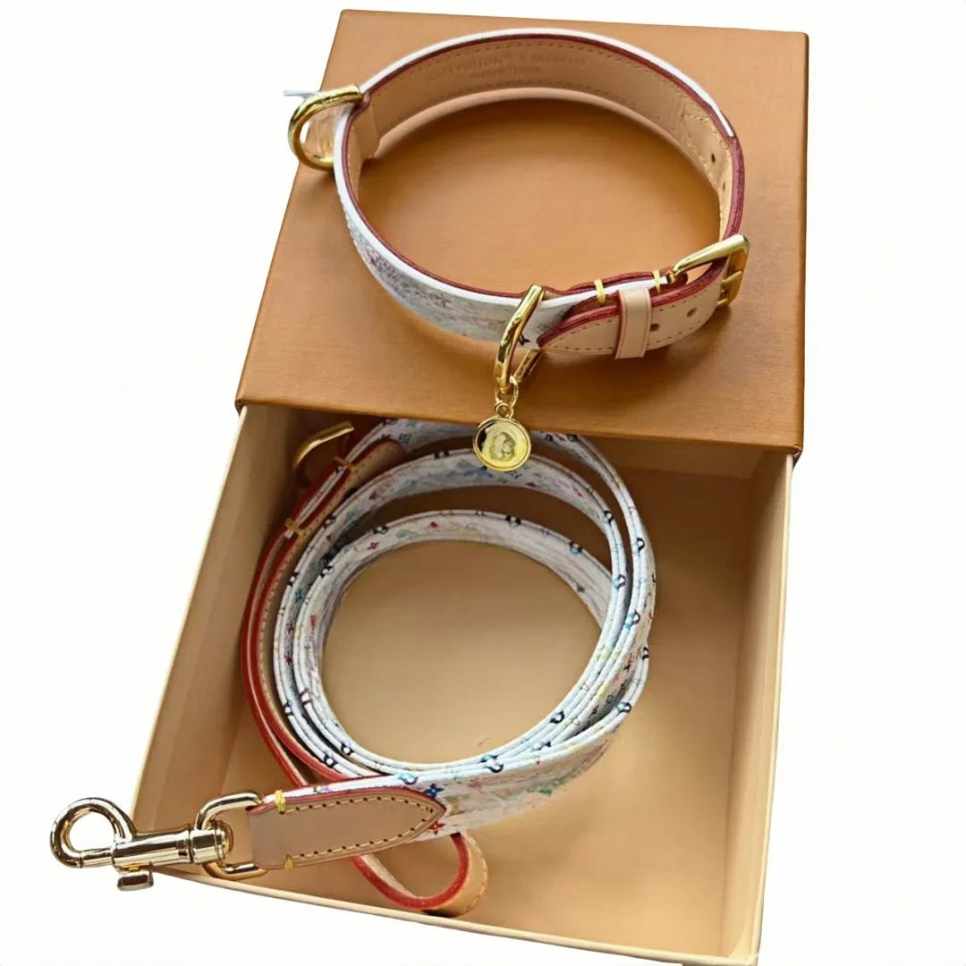 Luxury Adjustable PU Leather Dog Collar and Leash Set with Branded Designer  Pattern for Puppy and Dogs
