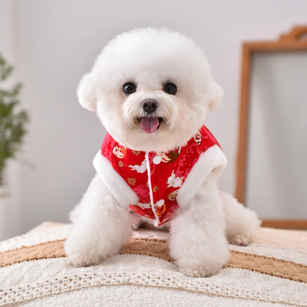 Holiday  Coat And Dress For Small