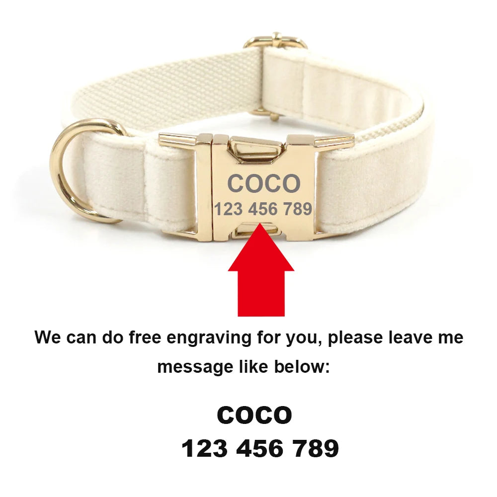 Personalized Pet Collar for Cats Small Medium Large Dogs Lemon Printing Luxury Designer Bow Dog Collar & Leash Set with Poop Bag