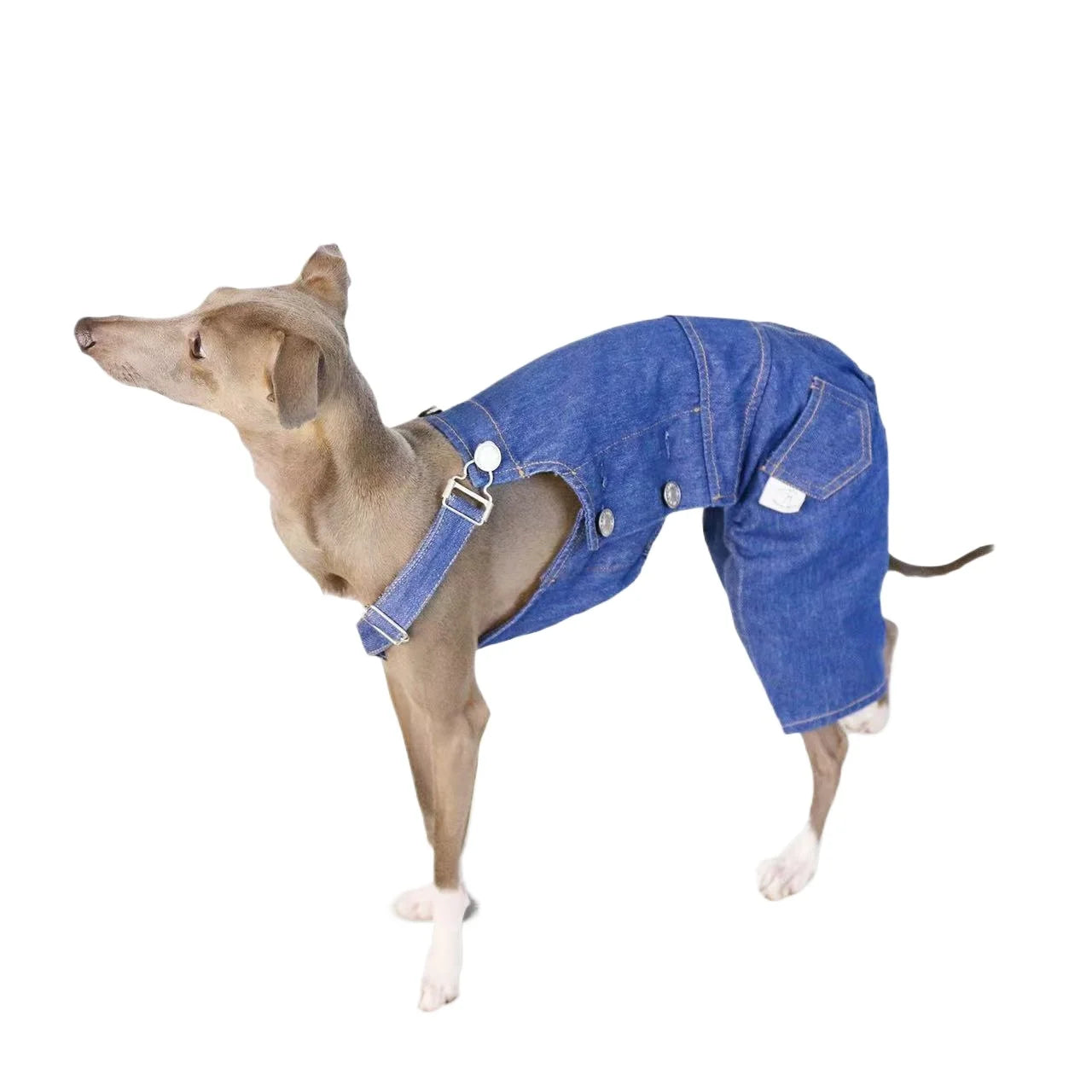 Italian greyhound denim overalls retro classic leg protection cloth fashionable whippet adjustable pants