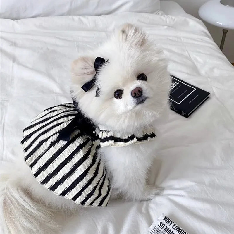 Bow Dog Princess Dress Dog Clothes Summer Black White Luxury Striped Skirt Dog Vest Chihuahua Bichon Yorkie Clothing for Dogs
