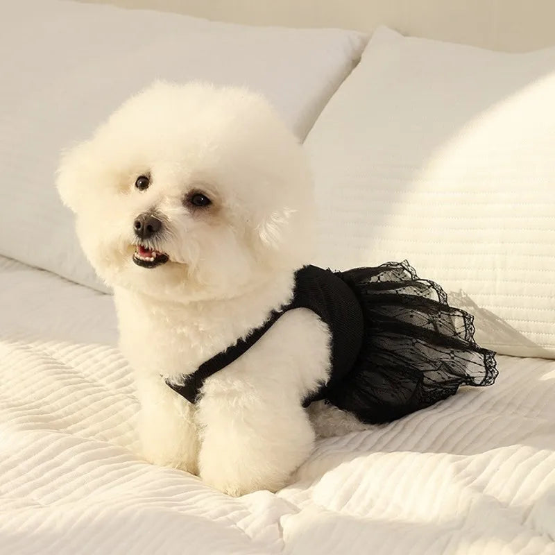 Bow Dog Princess Dress Dog Clothes Summer Black White Luxury Striped Skirt Dog Vest Chihuahua Bichon Yorkie Clothing for Dogs