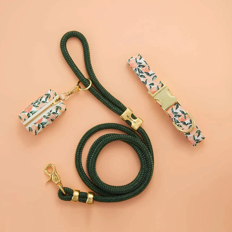 Luxury PU Leather Pet Dog Collar Walk Set Luxury Dog Training Collar and Leash Poop Bag Holder Sets