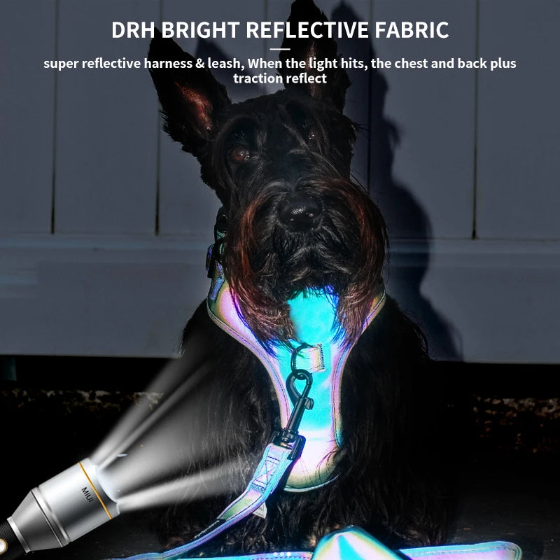 Reflective & Iridescent Dog Harness And Leash 4 piece Set