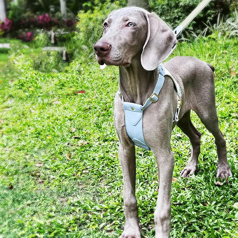 Luxury soft leather dog harness no pull H shaped waterproof pet harness and collar Soft Lightweight dog outdoor walking harness