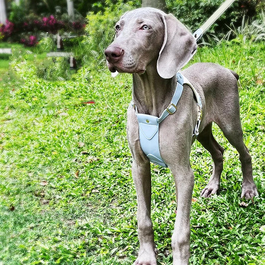 Luxury soft leather dog harness no pull H shaped waterproof pet harness and collar Soft Lightweight dog outdoor walking harness