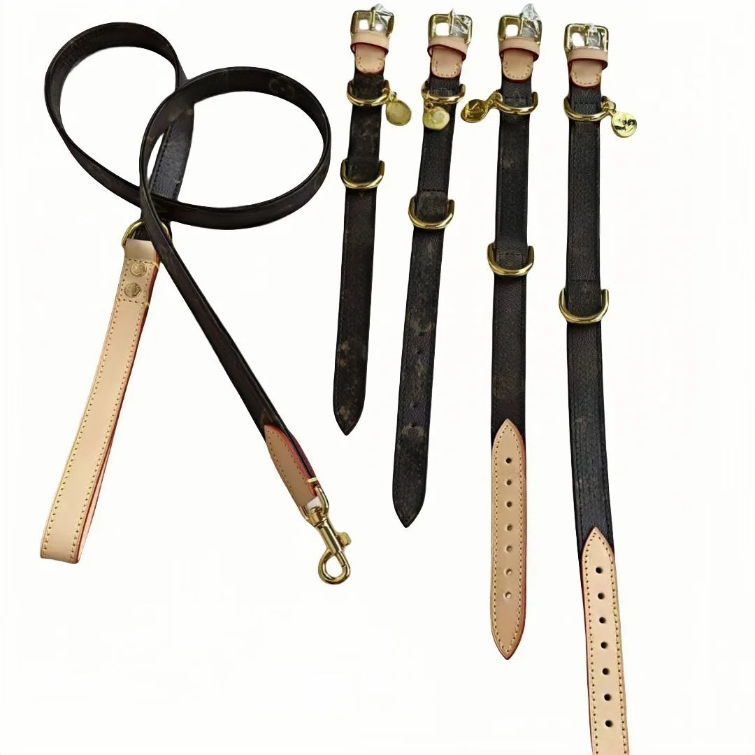 Luxury Adjustable PU Leather Dog Collar and Leash Set with Branded Designer  Pattern for Puppy and Dogs