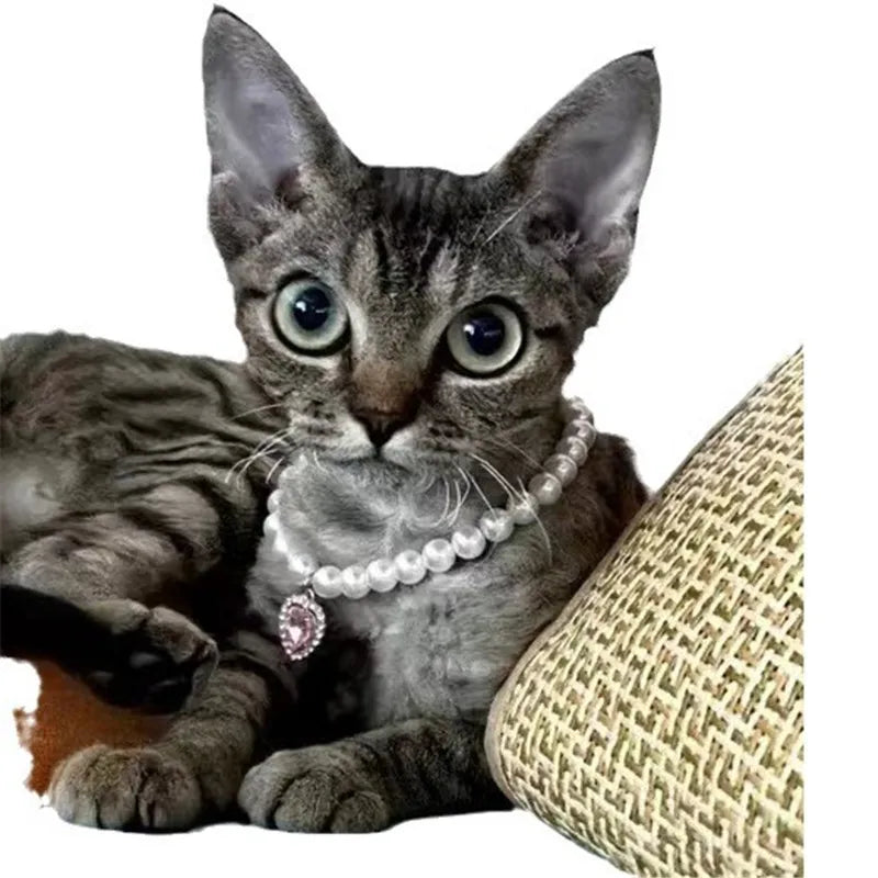 Pearl Dog Collar Necklaces Luxury Bling Rhinestones Wedding Cat Collar Heart Jewelry Dogs Cat Clothes Costume Pet Accessories
