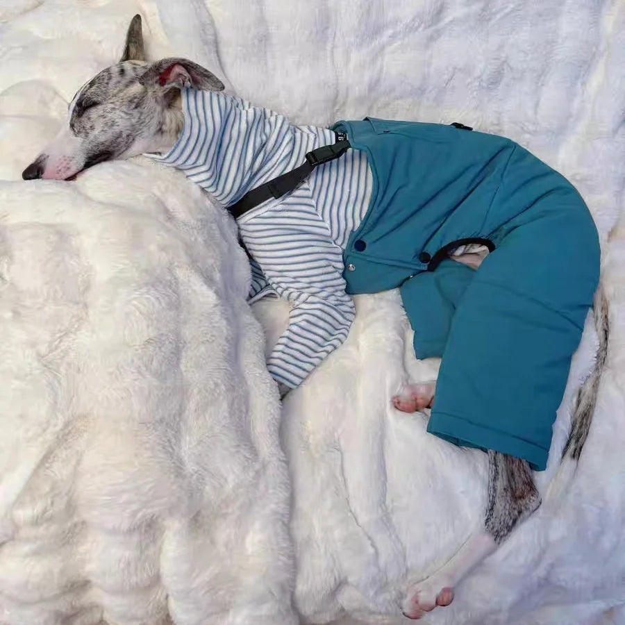 Thick Blue Cotton Cargo Overalls for Italian Greyhound in Autumn Winter Warm Khaki Pant for Dogs British Style Suit for Whippet