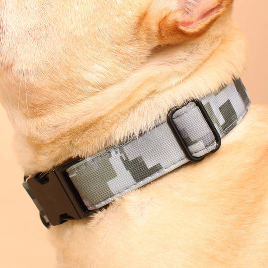 Annadel Recycled Dog Collar