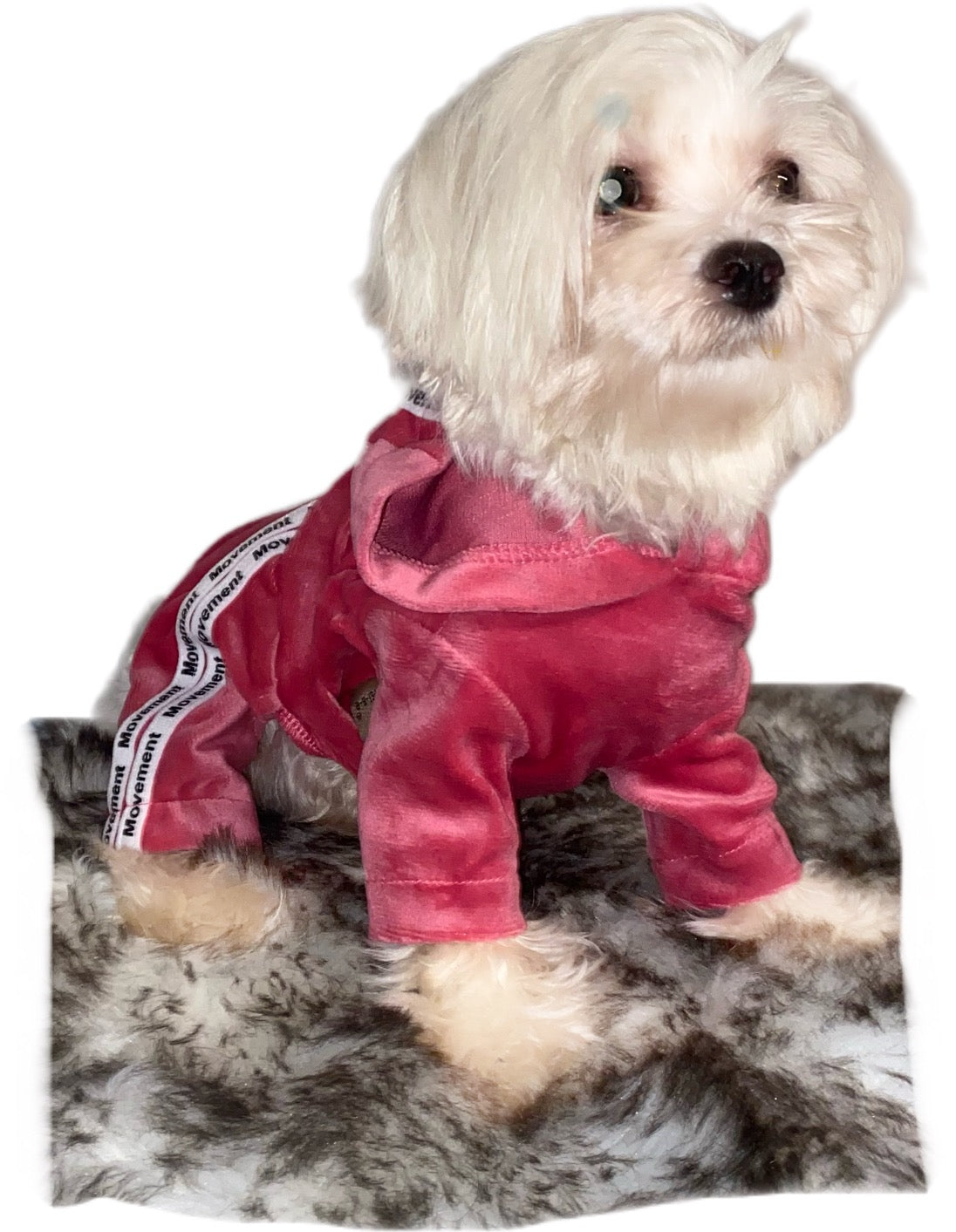 Pink Velvet Dog Jumpsuit