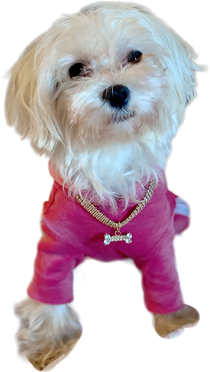 Pink Velvet Dog Jumpsuit