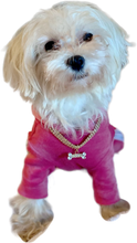 Load image into Gallery viewer, Pink Velvet Dog Jumpsuit