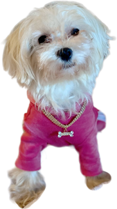 Pink Velvet Dog Jumpsuit