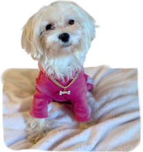 Load image into Gallery viewer, Pink Velvet Dog Jumpsuit