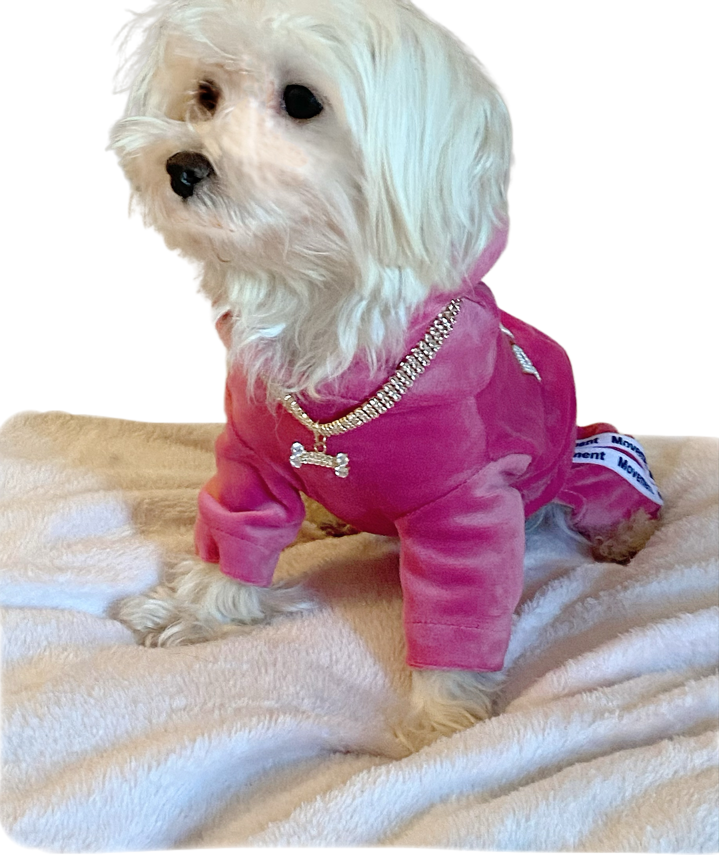 Pink Velvet Dog Jumpsuit