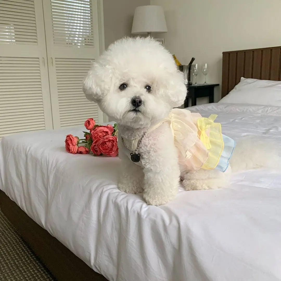 Luxury Dog Tiered Vest-Dress Summer Pet Clothes Puppy Dog Cooling