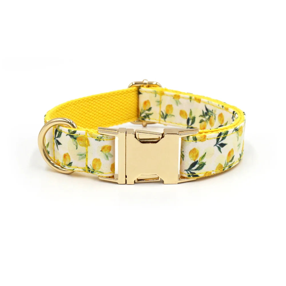 Personalized Pet Collar for Cats Small Medium Large Dogs Lemon Printing Luxury Designer Bow Dog Collar & Leash Set with Poop Bag