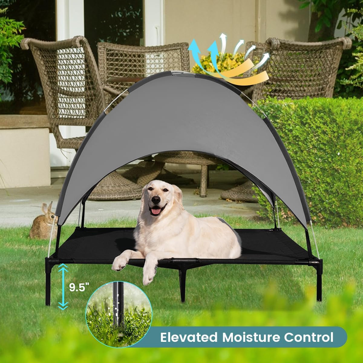 49" Elevated Outdoor Dog Bed with Canopy, Cooling Raised Pet Cot with Removable Sunshade for Camping, Deluxe 600D PVC with 2X1 Textilene Dog Bed, Come W/Carry Bag
