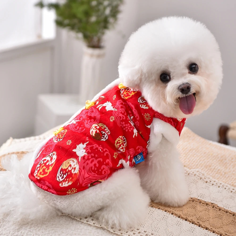 Holiday  Coat And Dress For Small