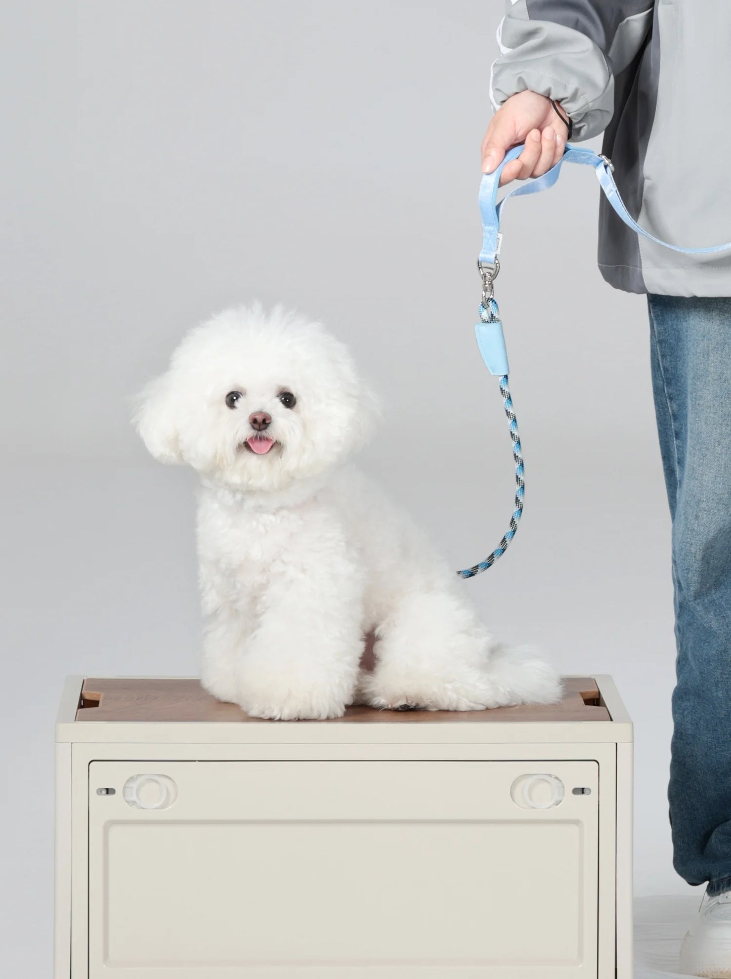 luxury pet P leash with storage bag dog collar with leash pet training leash blue no pull pet adjustable walking leash