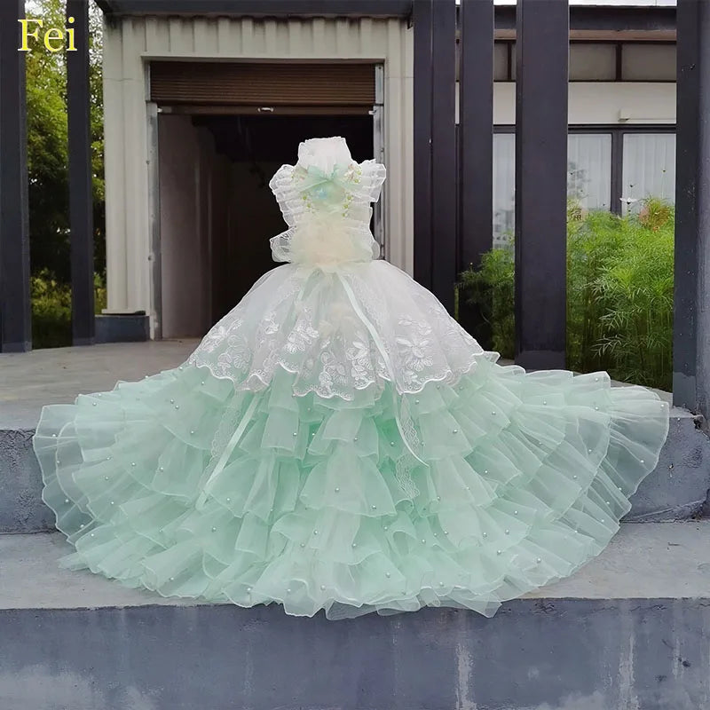 Luxury Pearl Bow Long Tail Dress 
Pet Clothes Photography Dress Fashion