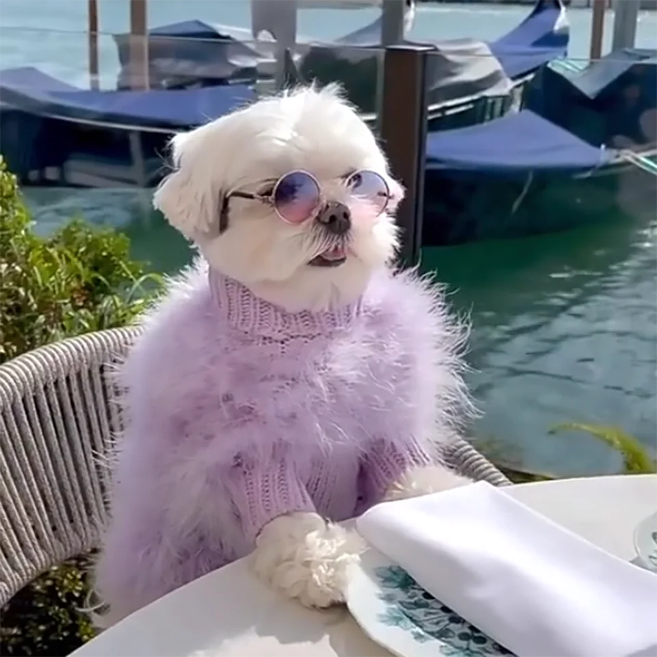 NONOR Fur Dog Coat Autumn and Winter Warmth Luxury French bulldog Pug Bichon Dog Sweater Pet Warm Core Yarn Pet Clothes