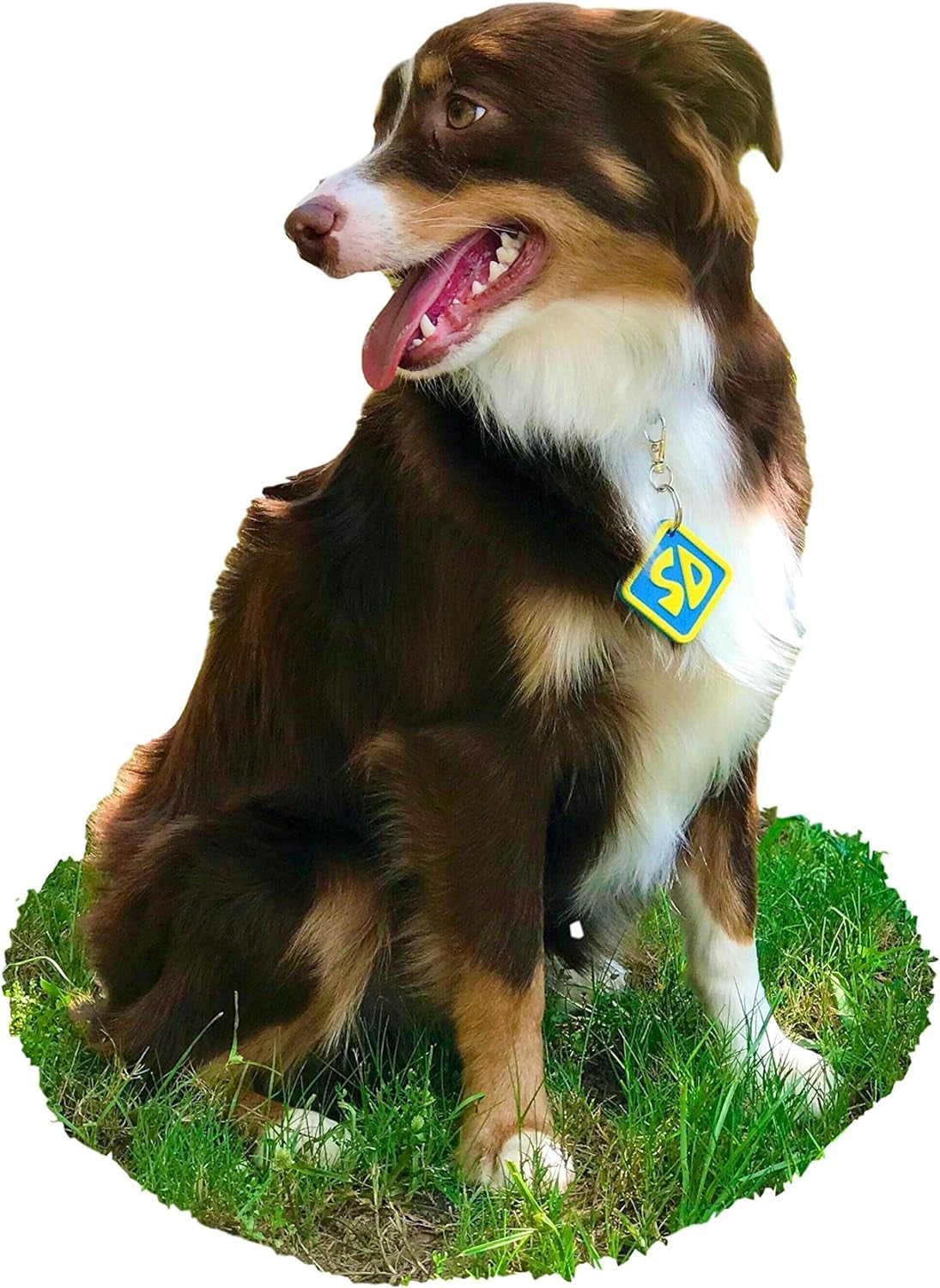 SD Dog Halloween Costume Collar Tag for Small Medium Large Dog Puppy Puppies Cat Clip-On Pet Cosplay Outfit, Small