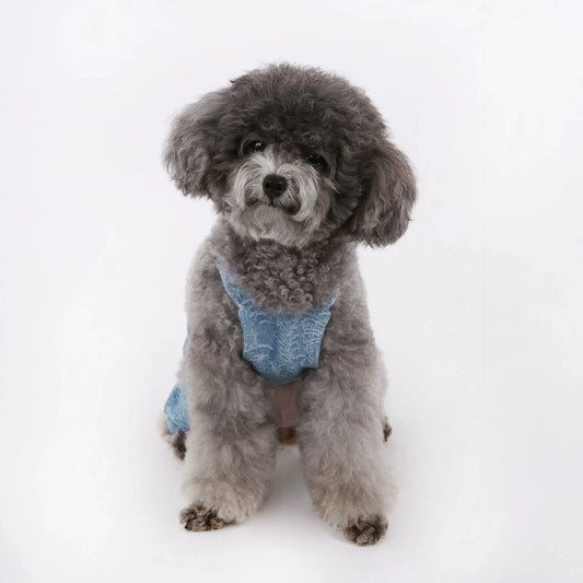 Newly Designed Pure Cotton Comfortable Pet Jeans For Teddy Bear, Schnauzer, Maltese And Other Small Dogs' Belt Pants