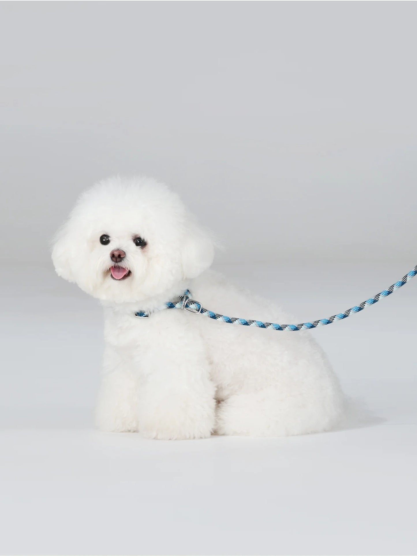 luxury pet P leash with storage bag dog collar with leash pet training leash blue no pull pet adjustable walking leash