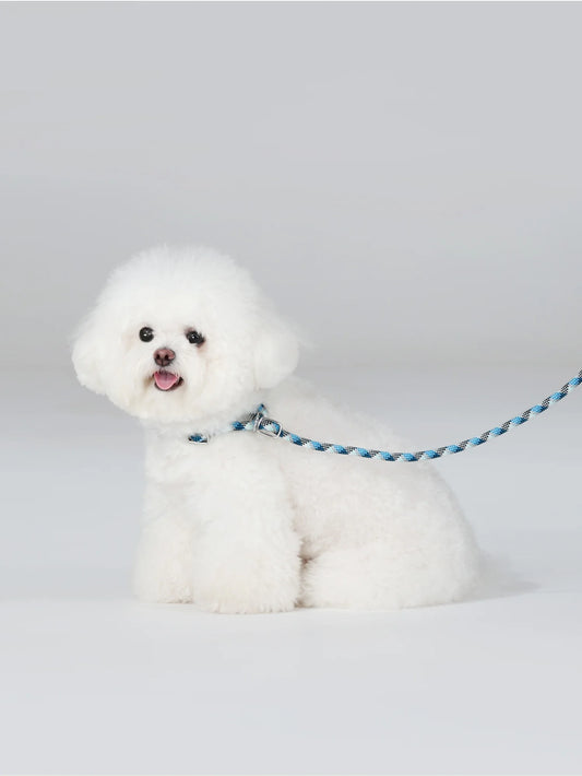 luxury pet P leash with storage bag dog collar with leash pet training leash blue no pull pet adjustable walking leash