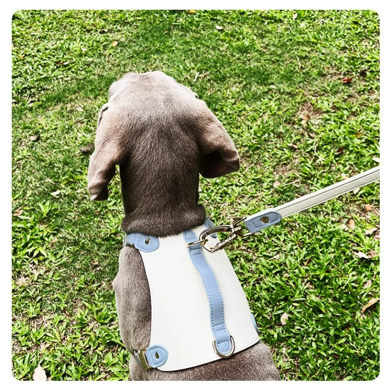 Luxury soft leather dog harness no pull H shaped waterproof pet harness and collar Soft Lightweight dog outdoor walking harness