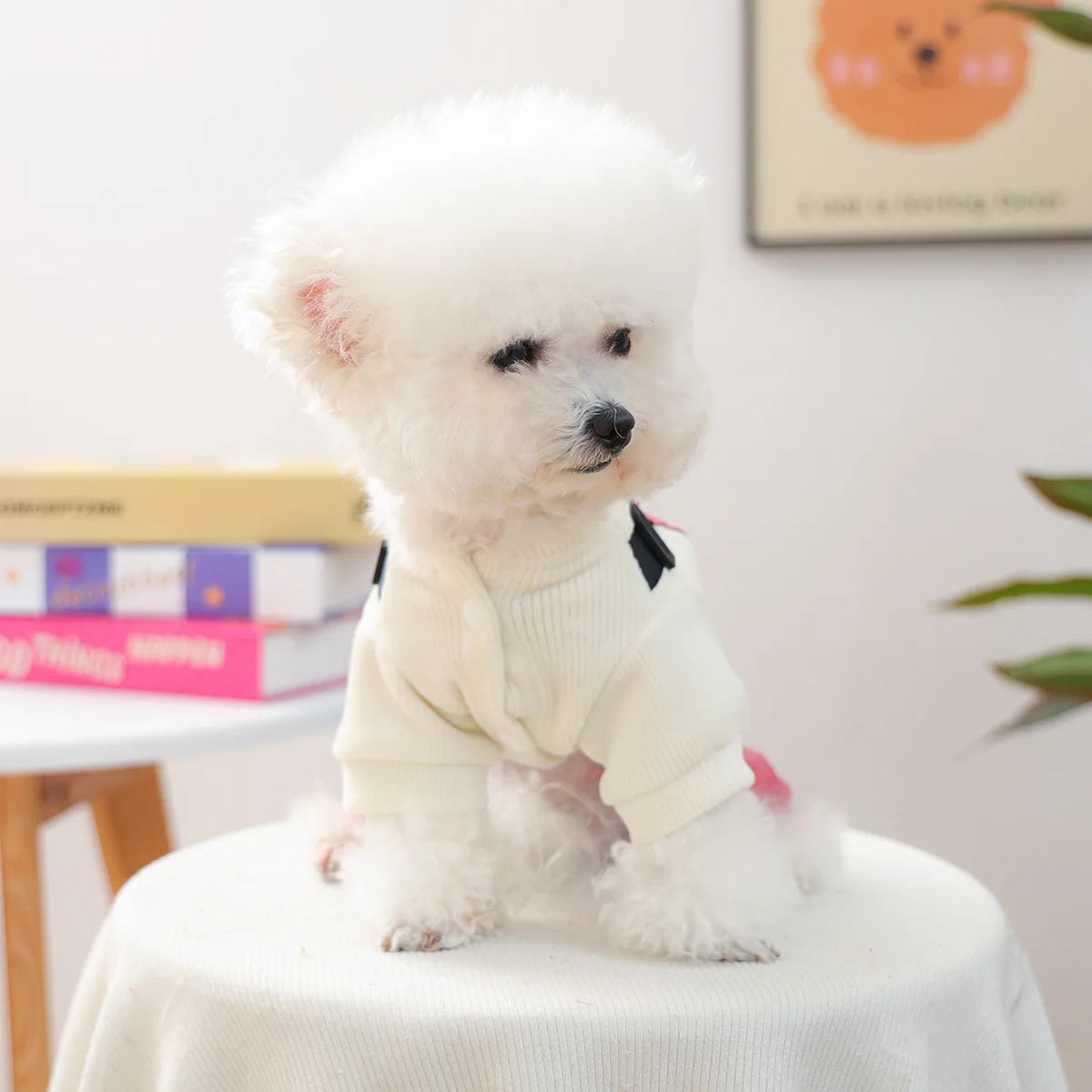 Fashion Dog Suspenders Overall Shith Tzu Toy Poodle Autumn Clothes XS XL 4 Colors Pet Shirt With Adjustable Pants Jumpsuit Goods