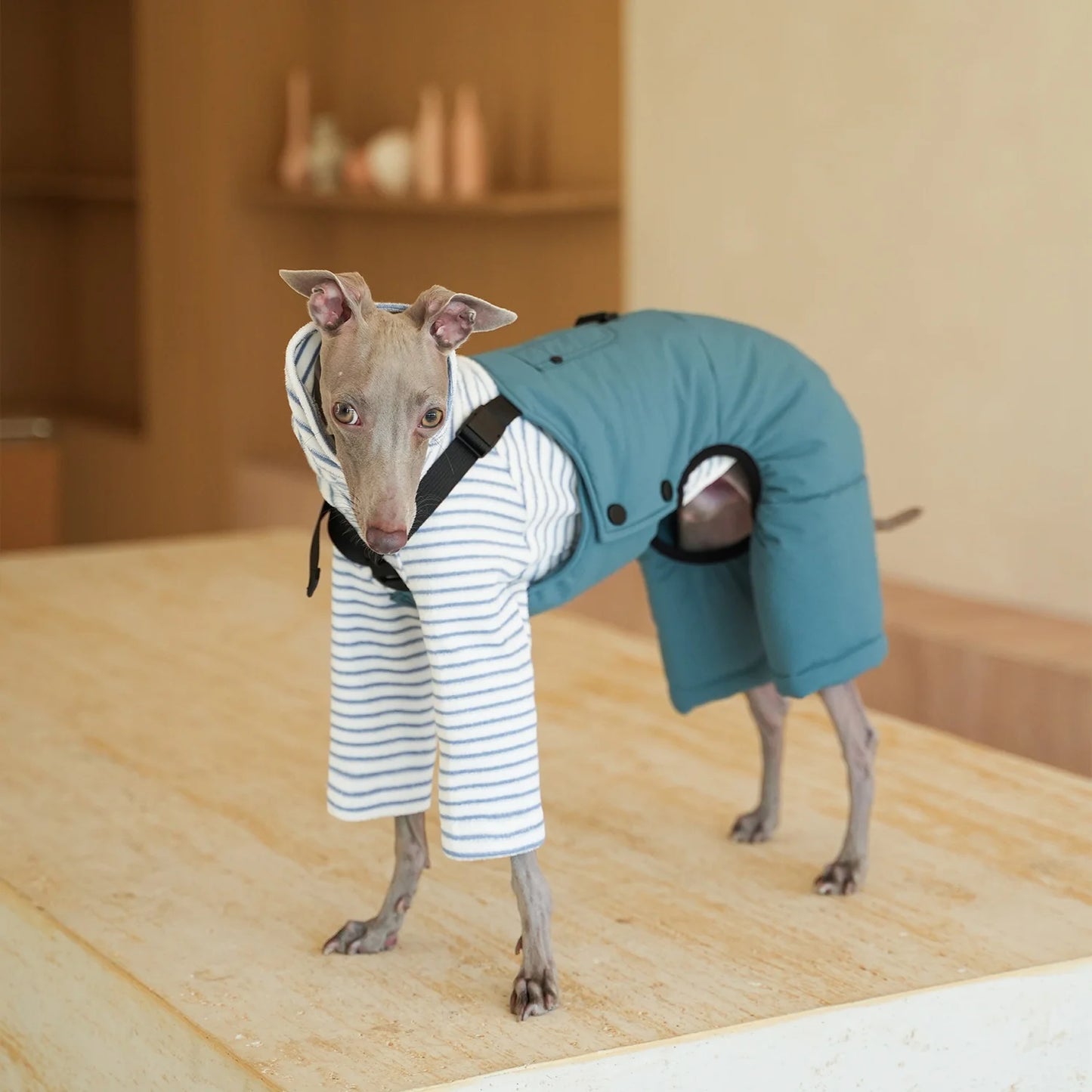 Thick Blue Cotton Cargo Overalls for Italian Greyhound in Autumn Winter Warm Khaki Pant for Dogs British Style Suit for Whippet