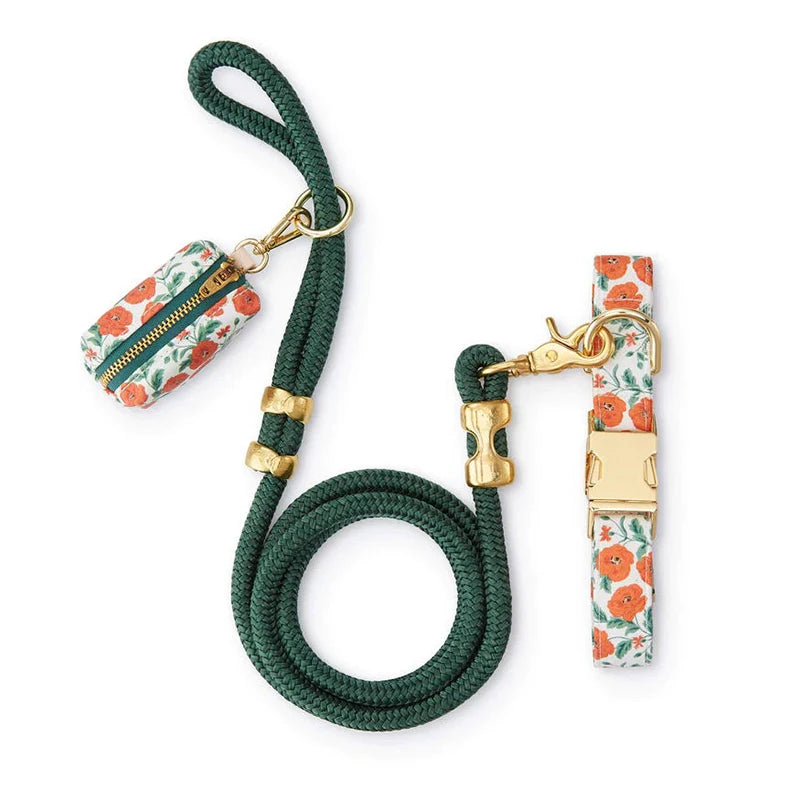 Luxury PU Leather Pet Dog Collar Walk Set Luxury Dog Training Collar and Leash Poop Bag Holder Sets