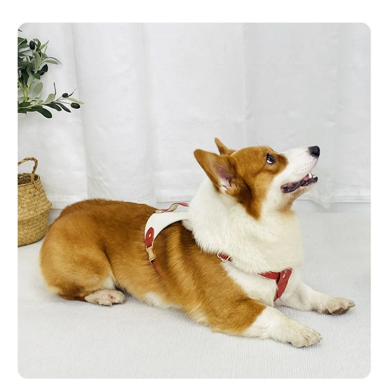 Luxury soft leather dog harness no pull H shaped waterproof pet harness and collar Soft Lightweight dog outdoor walking harness