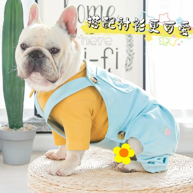 IBEANS pet clothes manufacturer spring and summer dog overalls overalls skirt pockets embroidered pumpkin pants cat overalls