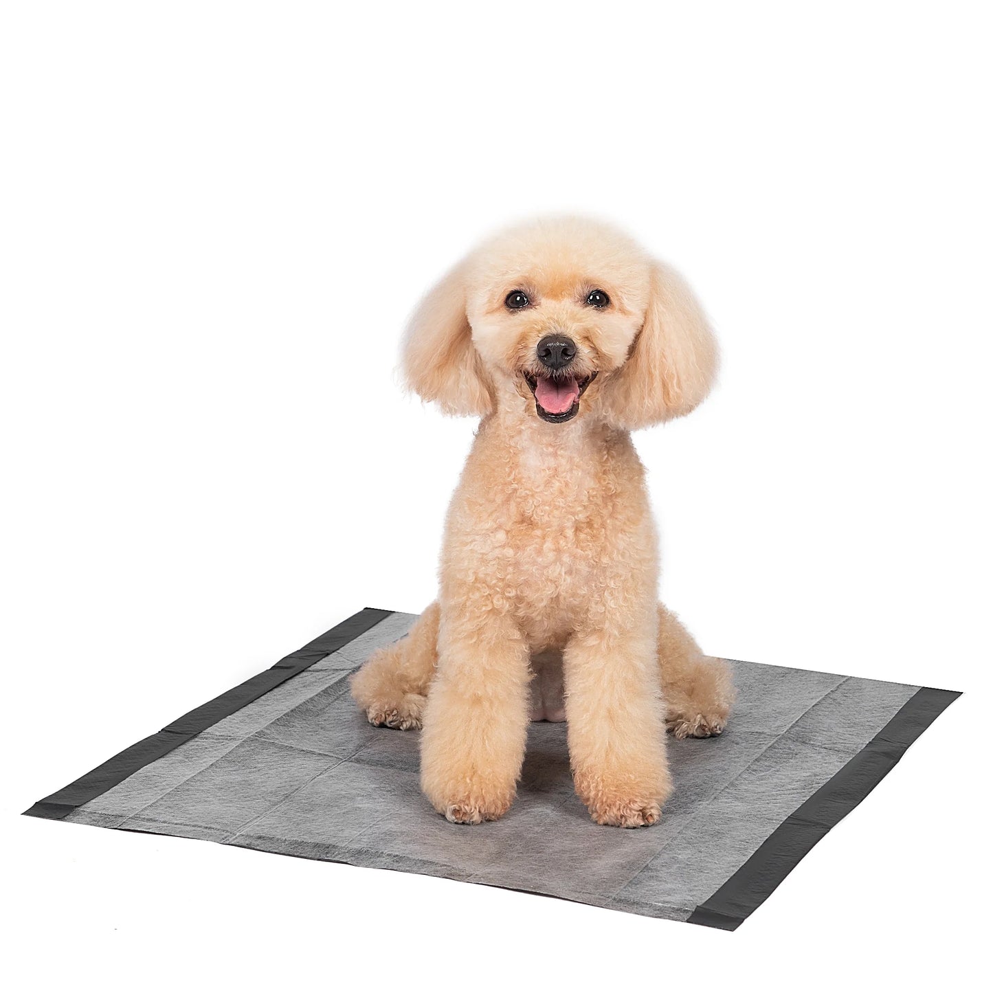 (4 Pack)  Activated Charcoal Leak-Resistant Training Pads for Dogs, 23In X 23In, 100 Count