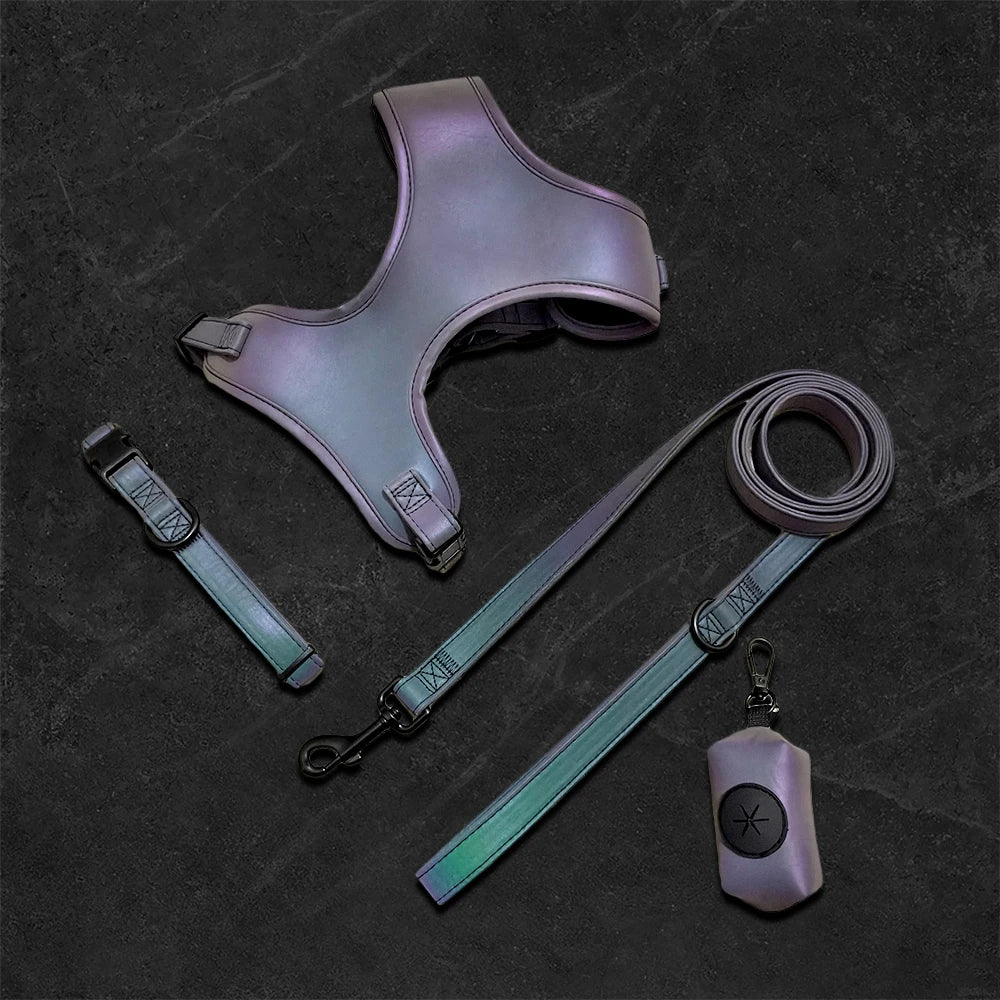 Reflective & Iridescent Dog Harness And Leash 4 piece Set
