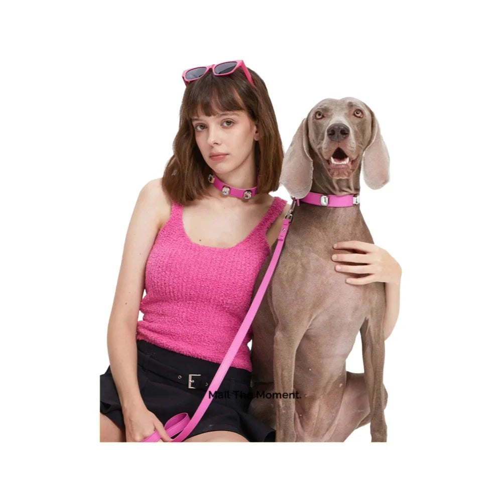 Pet Product Small Dog Collar Leash Set Pink Color Large Diamond Luxury Sparkling Design for Dogs & Cats Excellent Texture
