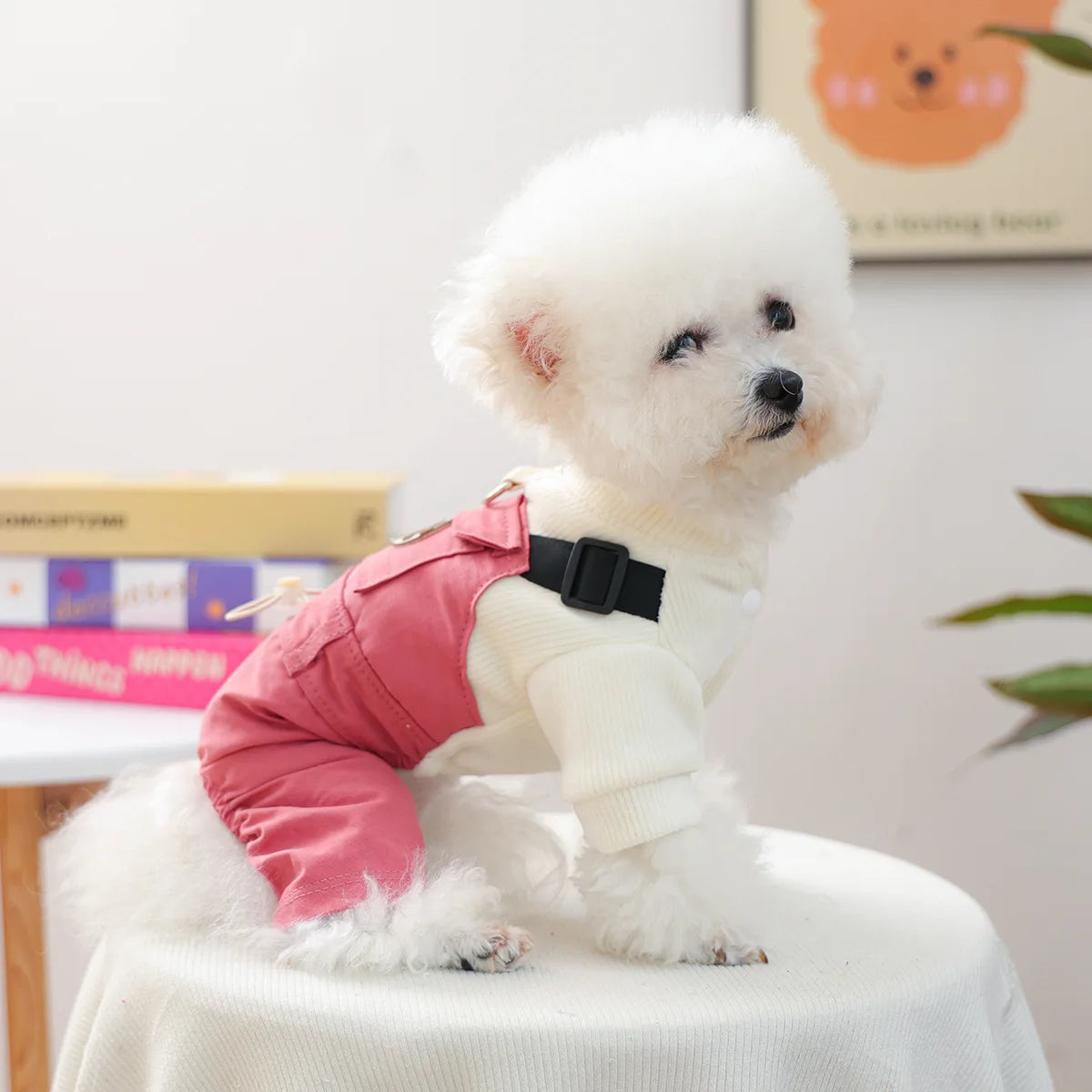 Fashion Dog Suspenders Overall Shith Tzu Toy Poodle Autumn Clothes XS XL 4 Colors Pet Shirt With Adjustable Pants Jumpsuit Goods