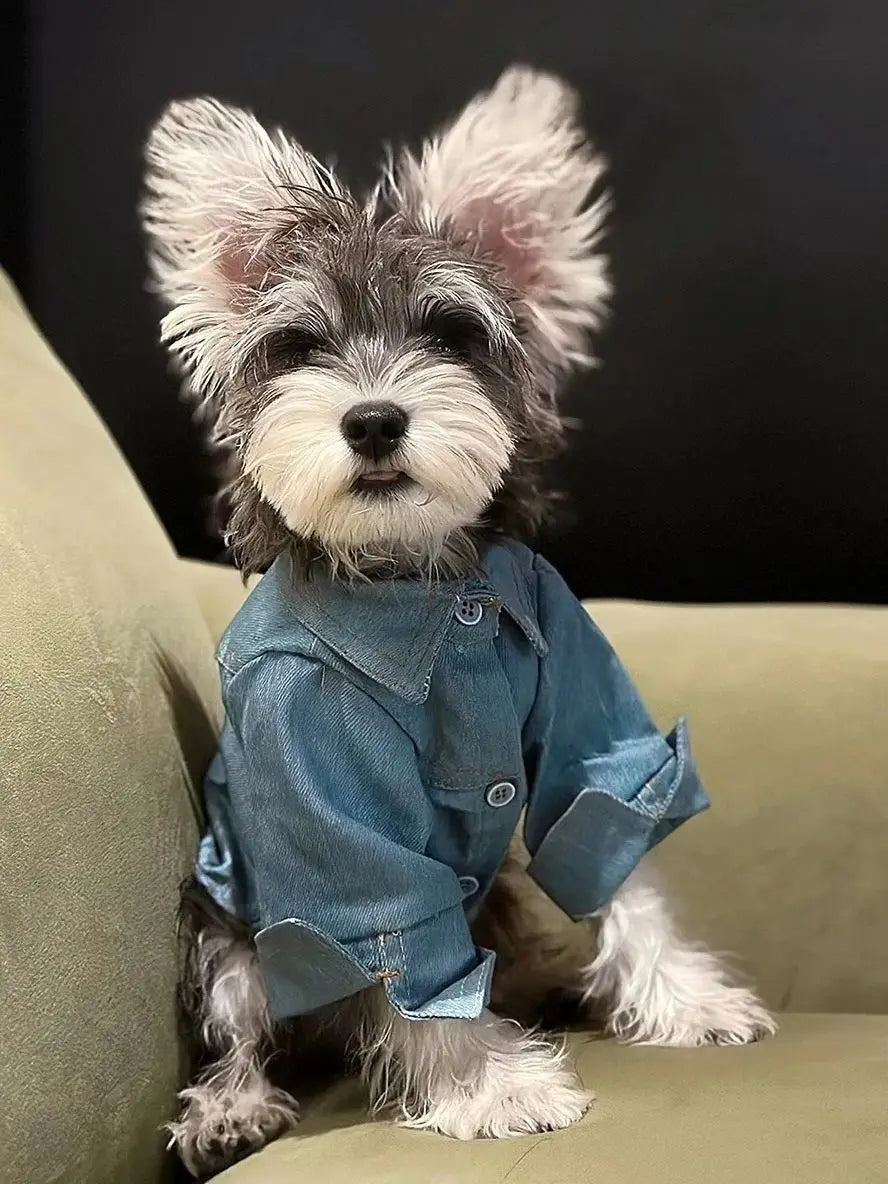 Cowboy Dog Shirt Spring Autumn Handsome Pet Shirt For Small Medium Teddy Bichon Shirena Dog Coat Puppy Spring Clothes Pet Outfit