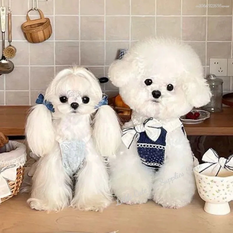 Luxury Pet Dress for Small Puppy Summer Puppy Clothes Bow Lace Dog Skirt Princess Dog T Shirt Girls Dog Costume Chihuahua Vest