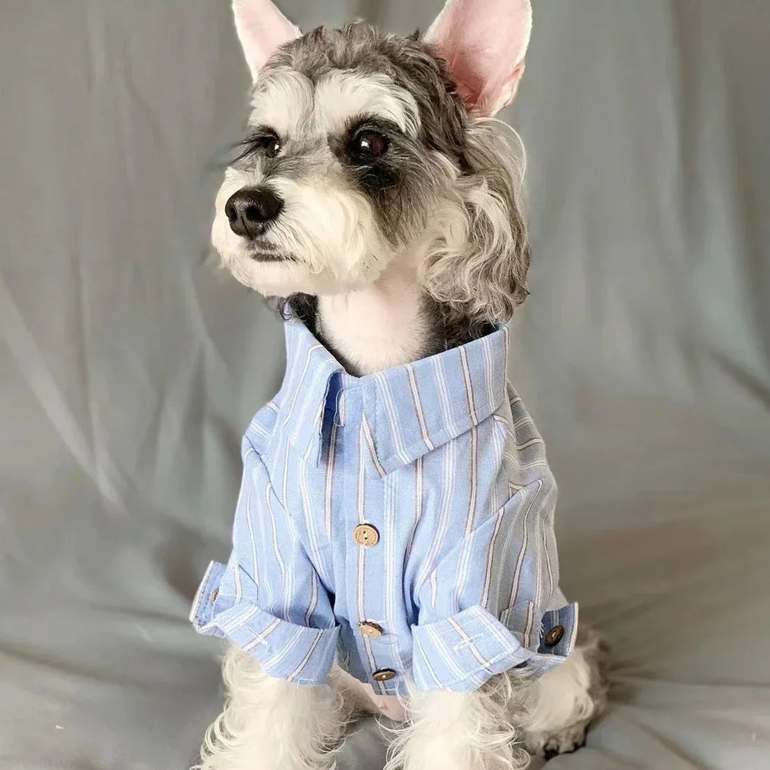 Clothes for Dogs Summer Doggy Shirt Apparel Pets Dog Puppy Spring Clothing Pet Shirts Blouse Supplies Products