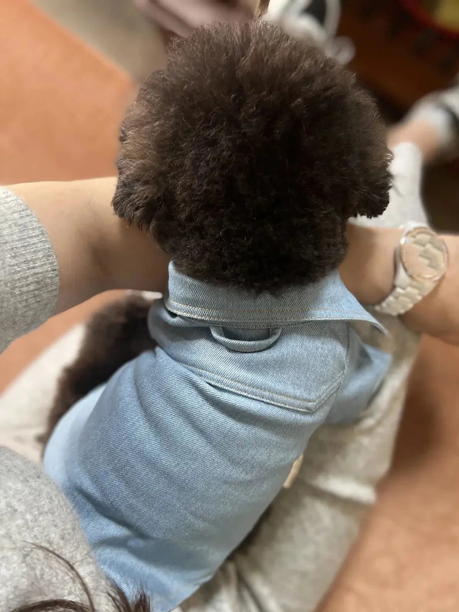 Cowboy Dog Shirt Spring Autumn Handsome Pet Shirt For Small Medium Teddy Bichon Shirena Dog Coat Puppy Spring Clothes Pet Outfit