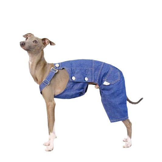 Italian greyhound denim overalls retro classic leg protection cloth fashionable whippet adjustable pants