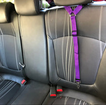 Load image into Gallery viewer, Pet car seat belt