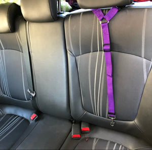 Pet car seat belt